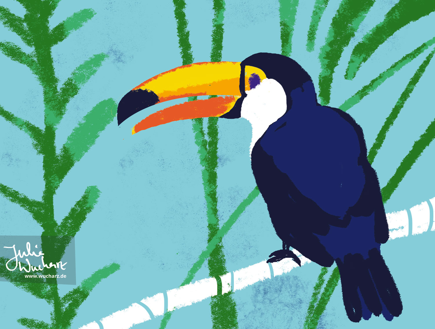 Julia Wucharz, Illustratorin